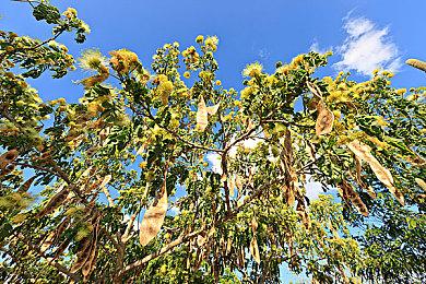 提升显著 《死亡空间：重制版》与原版对比视频发布